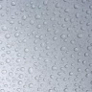 Meet your Posher, Max